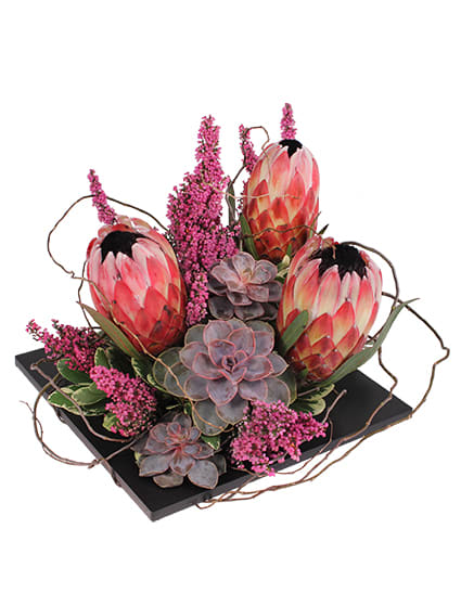 MODERN EXPRESSIONS ARRANGEMENT