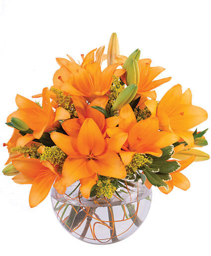 ORANGE LILY SORBET BOUQUET