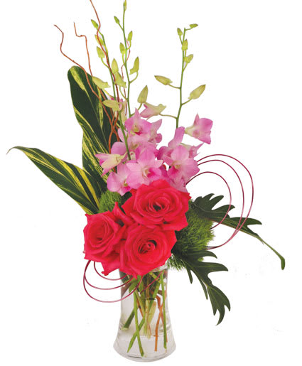 PINK DENDROBIUM DREAM FLORAL DESIGN