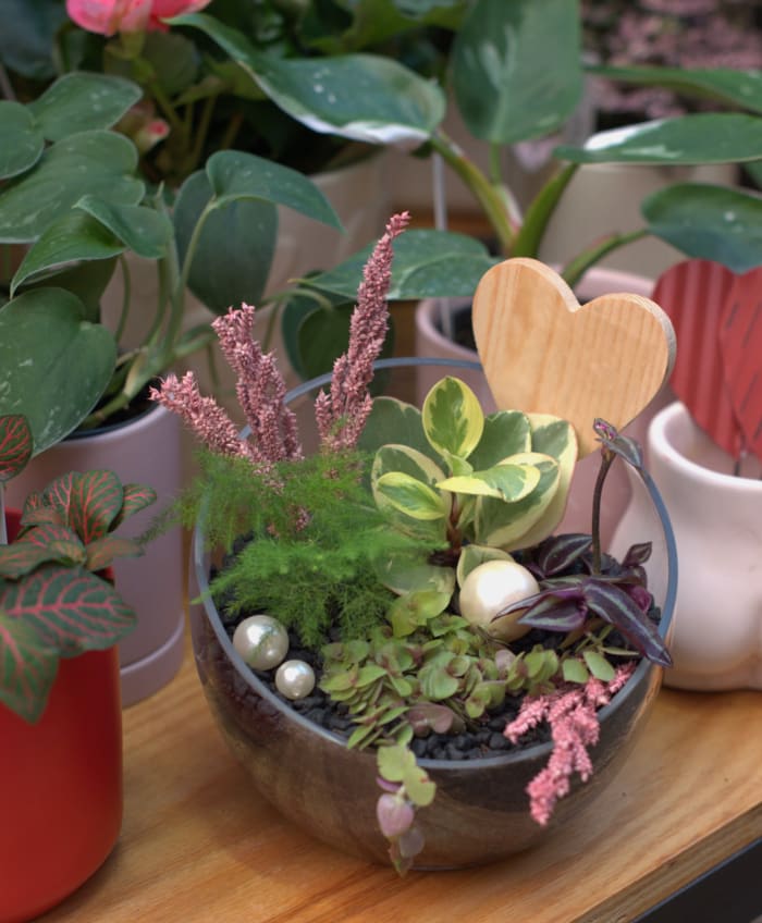 Galentine's Day Terrarium Workshop 2/9