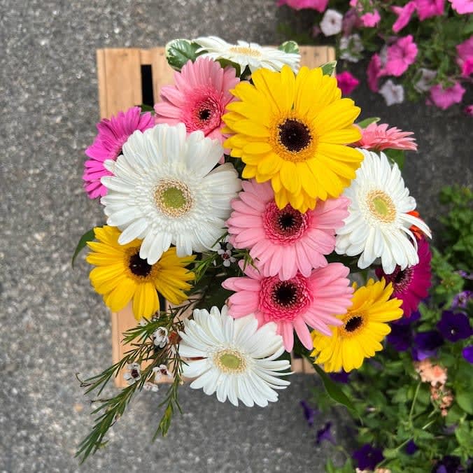 Colorful World Gerbera Daisy Bouquet