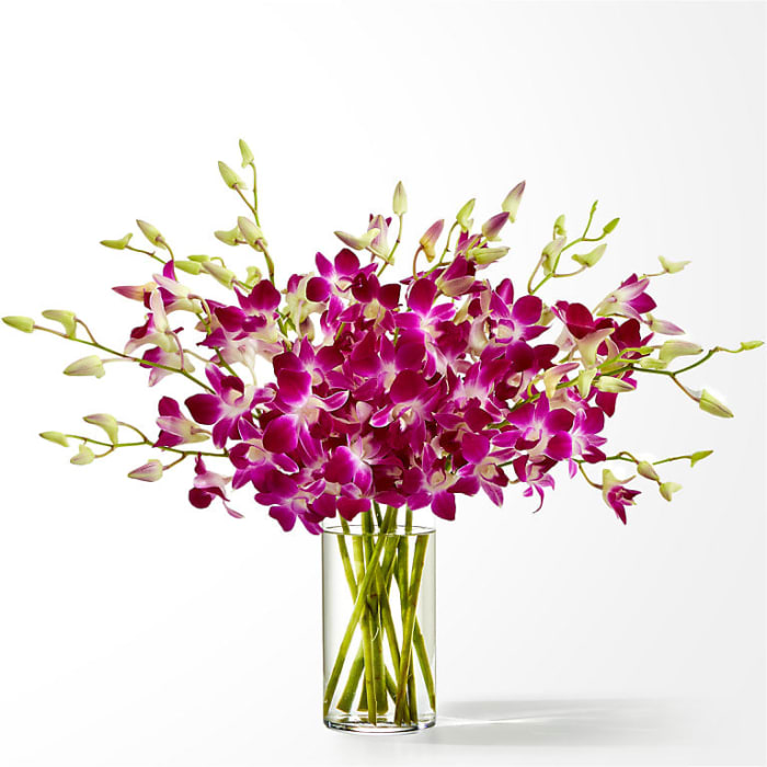 Positively Purple Orchid Bouquet