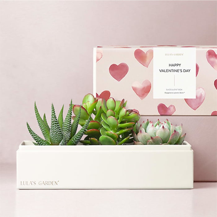 Lula's Jewel Garden - Valentine's Day