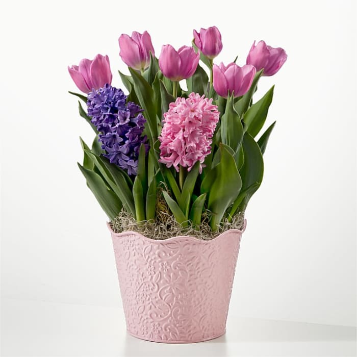 Let Your Love Grow Bulb Garden