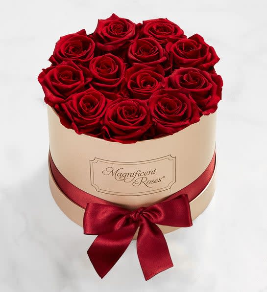 Magnificent Roses® Preserved Cabernet Roses