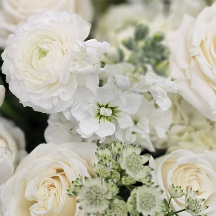 white mix