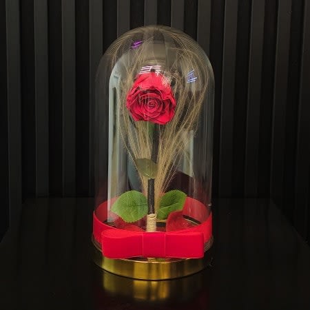 Beauty and the beast