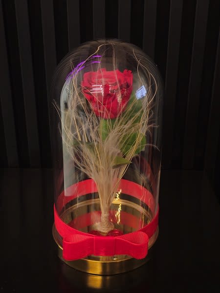 Beauty and the beast red