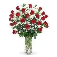 Three Dozen Red Roses in a Vase