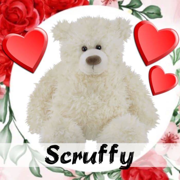 Scruffy the Bear