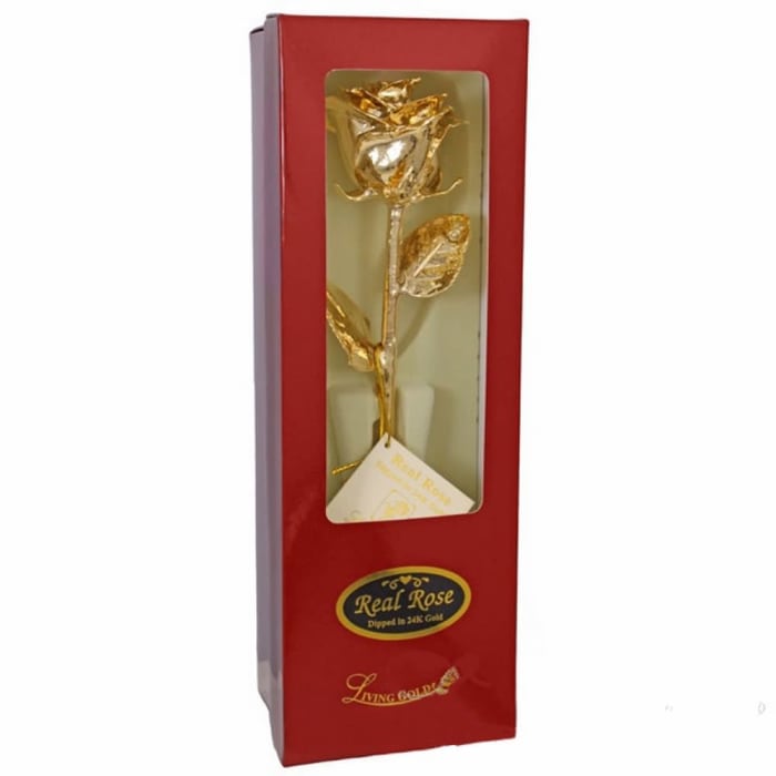 24K Gold Dipped Rose