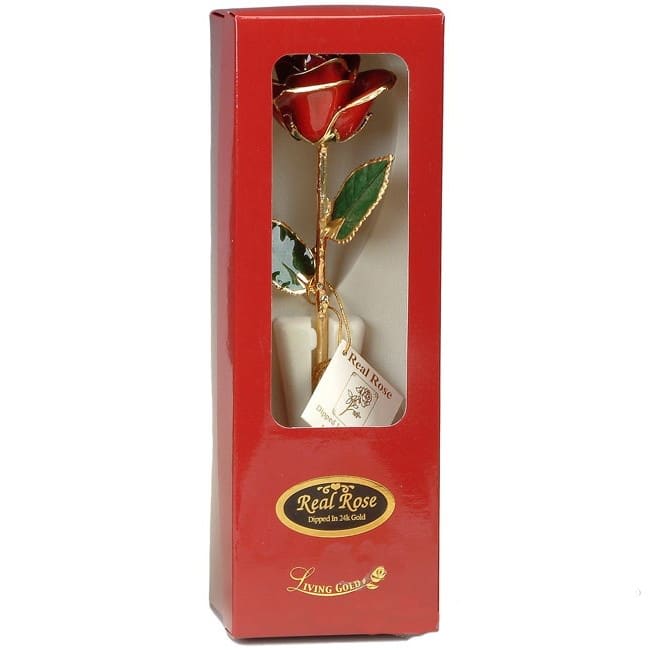 Red Rose Trimmed in 24k Gold