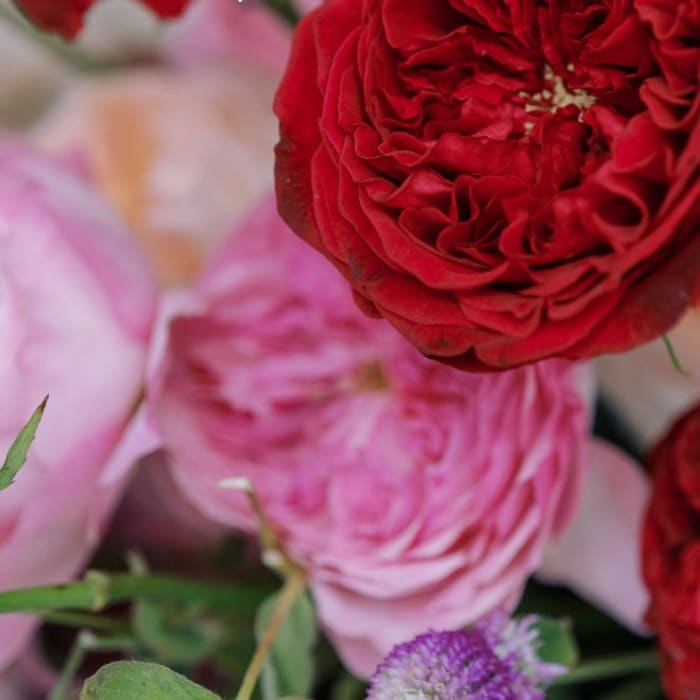 VALENTINE'S DELUXE