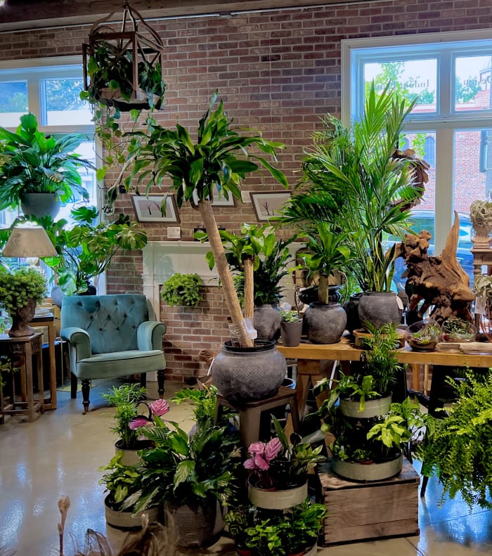 Plant Swap Registration