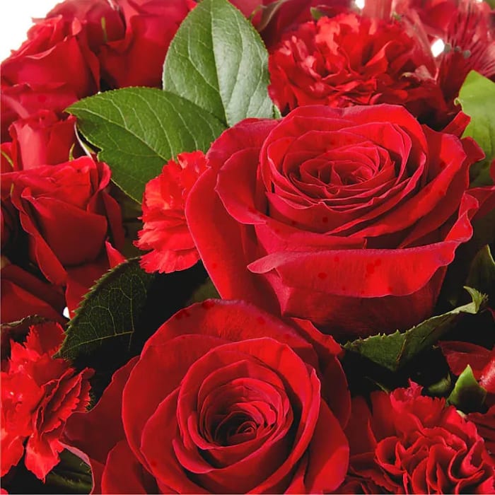 Designer's Choice Premium Rose Arrangement