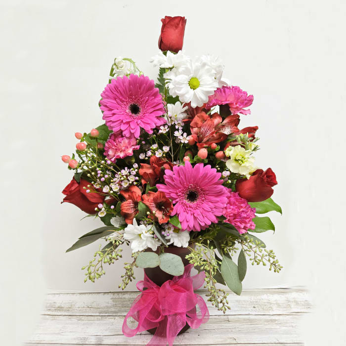 Romance Fields of Europe