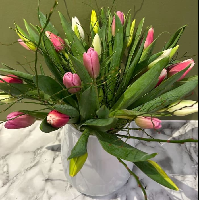Assorted Tulips in a vase