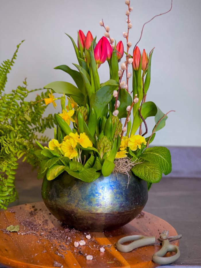 Spring Mix