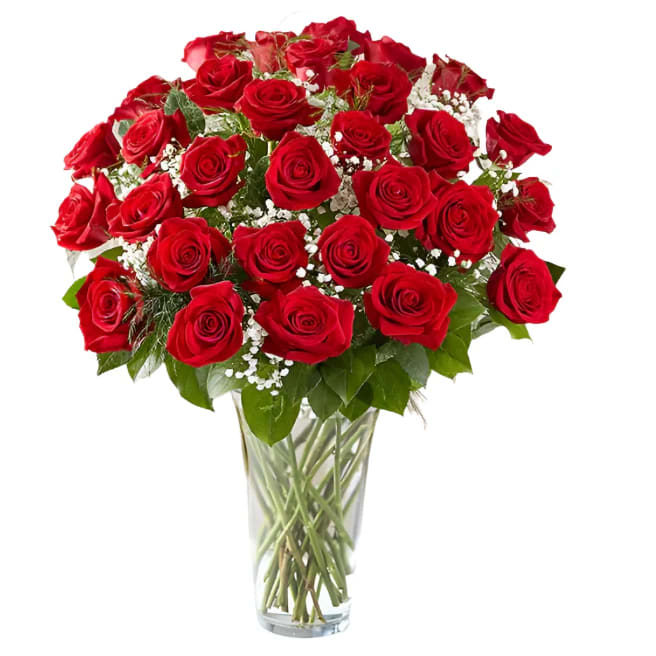 Long Stem Red Roses