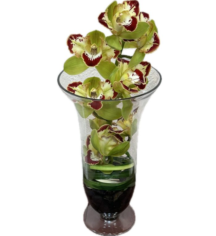 VD002