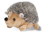 Hedgehog