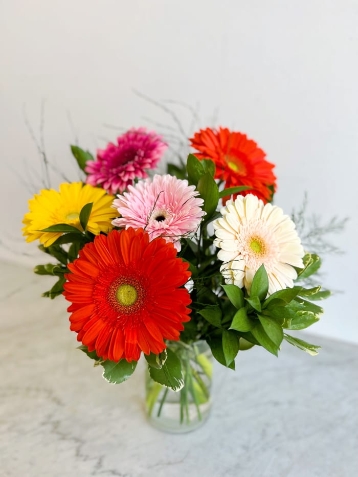 Adrienne's Thoughts of Joy