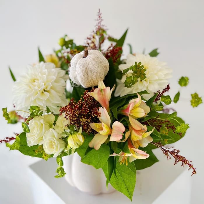 Adrienne's Pumpkin Cream