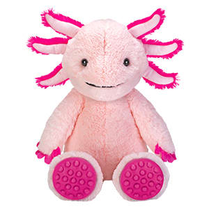 Axolotl