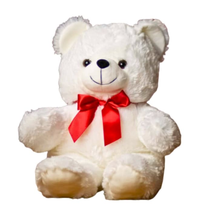 White Bear Stuffed Animal