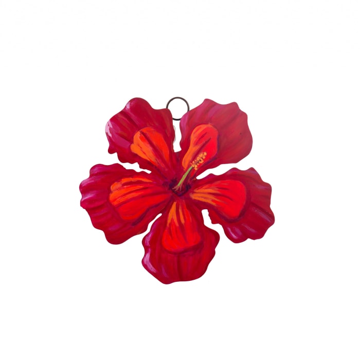 Hibiscus Charm