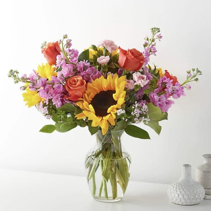 The Sunny Bunch