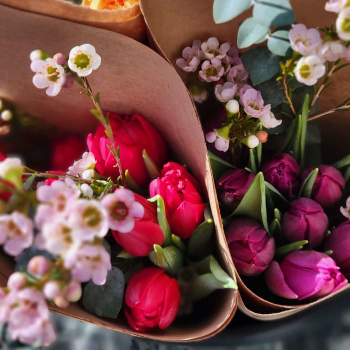 Dutch Touch Tulips