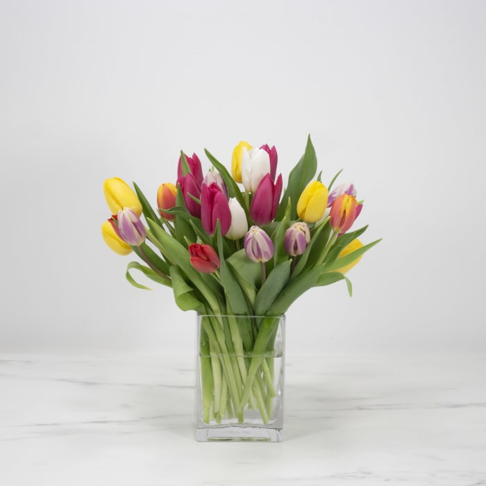 Simply Tulips
