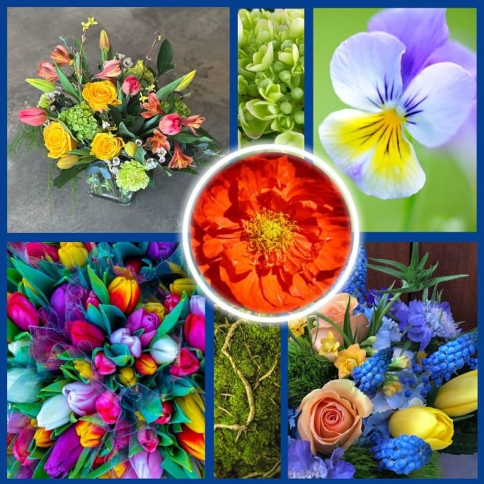 Spring Flowers - Designer's Choice
