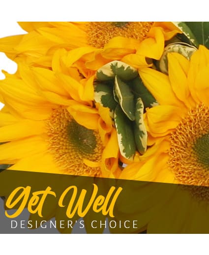 GET WELL BOUQUET DESIGNER'S CHOICE