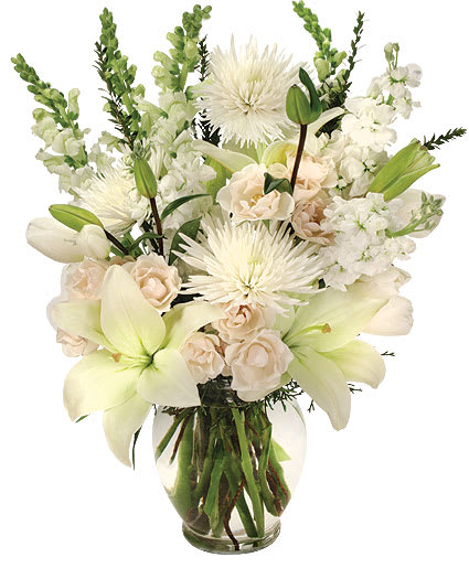 HEAVENLY AURA
FLOWER ARRANGEMENT