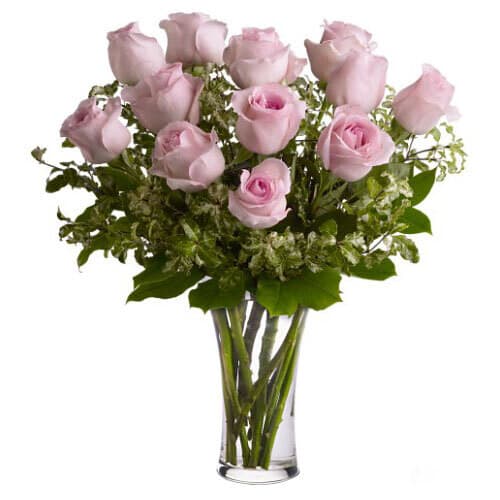 12 Coloured Roses in a Vase