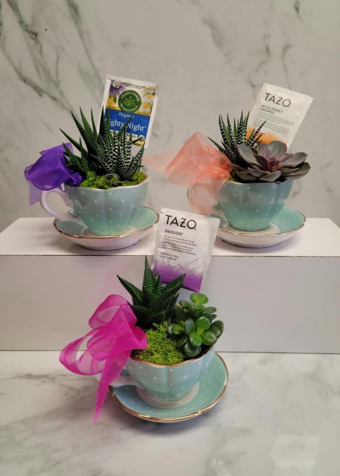 Me Time, Tea Cup Succulent Arrangement