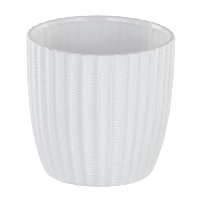 6" White Ribbed Orchid Pot