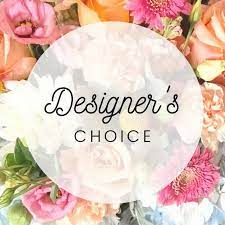 Deal of The Day! Designers Choice