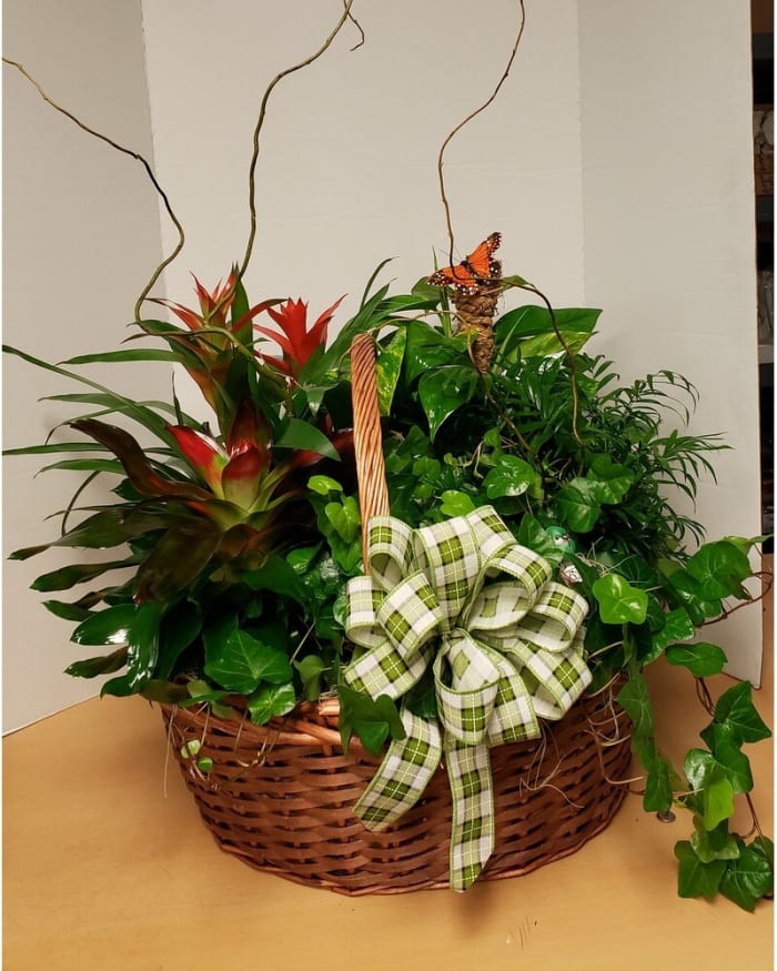 Basket of Plenty
