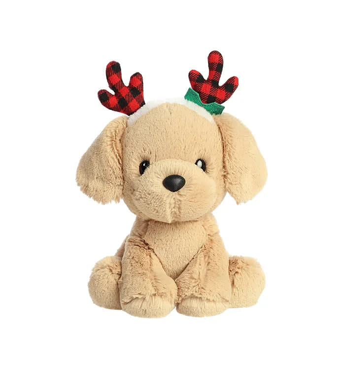 8.5 REINDEER LAB