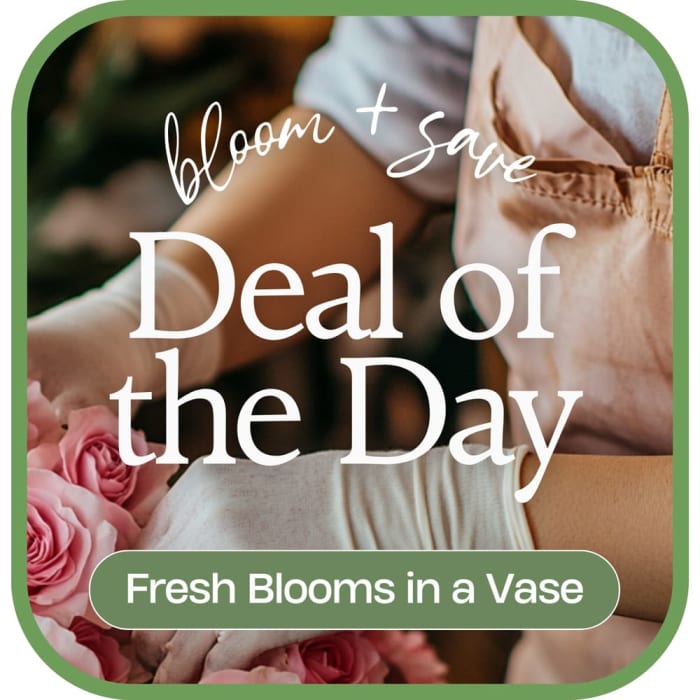 Deal of the Day