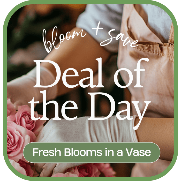 Deal of the Day