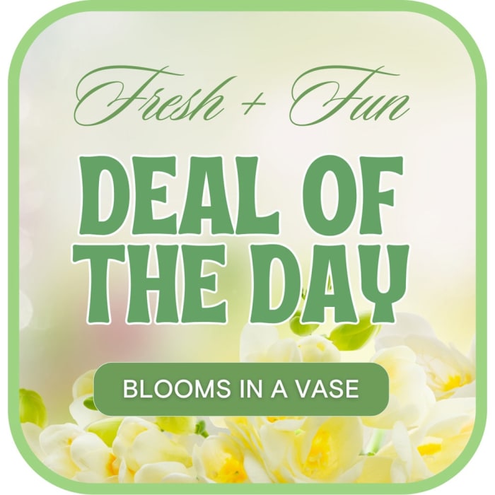 Florist's Deal of the Day