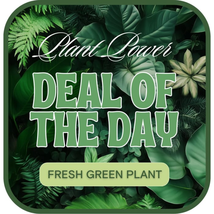 Green Plant Deal of the Day