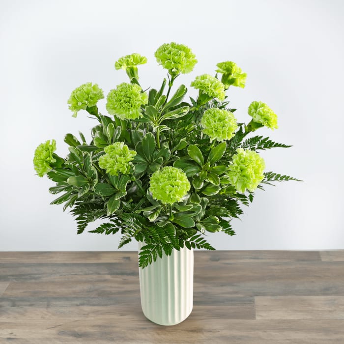 One Dozen Bright Green Carnations