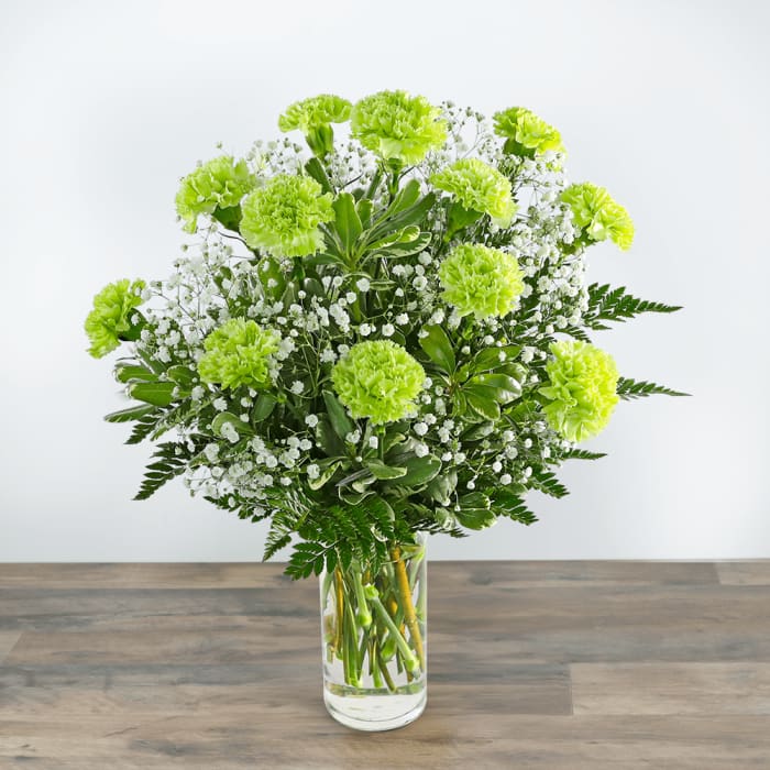 One Dozen Green Carnations with Babies Breath
