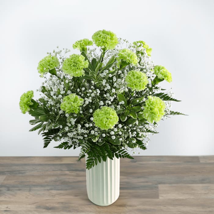 One Dozen Starry Green Carnations