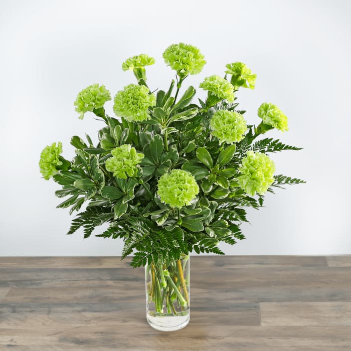 One Dozen Green Carnations